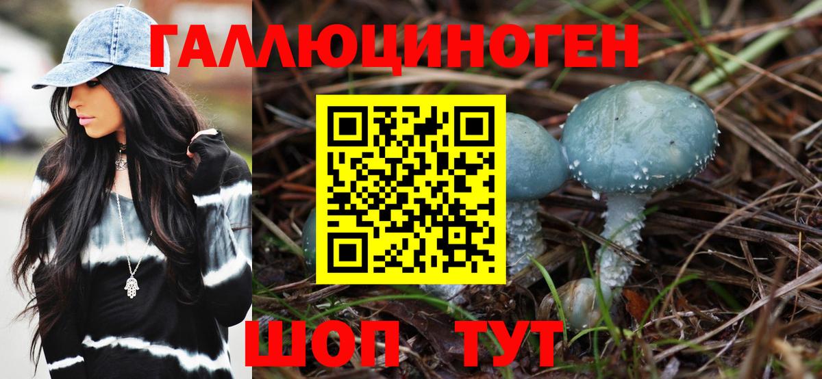 Галлюциногенные грибы Magic Shrooms  Псилоцибиновые грибы Magic Shrooms  Вход с VPN  Новотроицк 