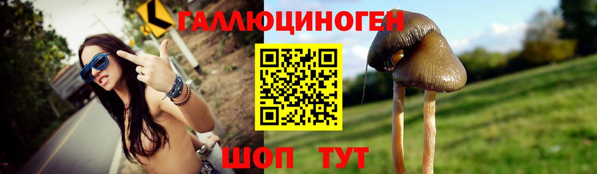 Псилоцибиновые грибы мухоморы Новотроицк