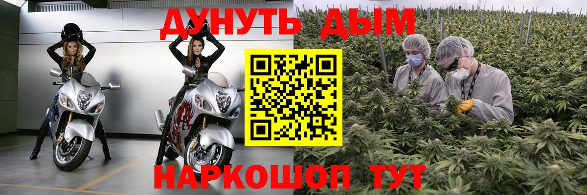 Новотроицк  Бошки марихуана Amnesia  Вход с VPN  Канабис индика 